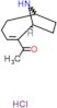 1-[(1S)-9-azabicyclo[4.2.1]non-2-en-2-yl]ethanone hydrochloride (1:1)