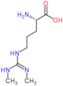 N~5~-(N,N'-dimethylcarbamimidoyl)-L-ornithine