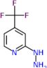 [4-(trifluoromethyl)-2-pyridyl]hydrazine