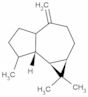 [1aR-(1aα,4aα,7α,7aβ,7bα)]-decahydro-1,1,7-trimethyl-4-methylene-1H-cycloprop[e]azulene