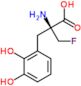 alpha-(fluoromethyl)-2,3-dihydroxy-L-phenylalanine