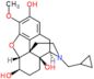 (5alpha,6beta)-17-(cyclopropylmethyl)-3-methoxy-4,5-epoxymorphinan-2,6,14-triol