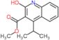 methyl 4-(1-methylethyl)-2-oxo-1,2-dihydroquinoline-3-carboxylate