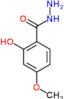 2-hydroxy-4-methoxybenzohydrazide