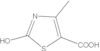 2-hydroxy-4-methylthiazole-5-carboxylic acid