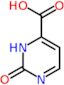 2-oxo-2,3-dihydropyrimidine-4-carboxylic acid