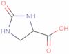 2-Oxo-4-imidazolidinecarboxylic acid