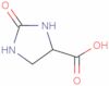 2-oxo-4-imidazolinecarboxylic acid