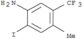 Benzenamine,2-iodo-4-methyl-5-(trifluoromethyl)-