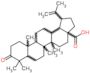 (+)-Betulonic acid