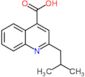 2-(2-methylpropyl)chinolin-4-carboxylat