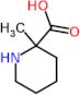 2-methylpiperidine-2-carboxylic acid