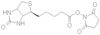 (+)-Biotin N-hydroxysuccinimide ester