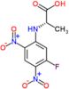 N-(5-fluoro-2,4-dinitrophenyl)-L-alanine