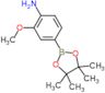 2-methoxy-4-(4,4,5,5-tetramethyl-1,3,2-dioxaborolan-2-yl)aniline