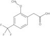 2-Methoxy-4-(trifluoromethyl)benzeneacetic acid