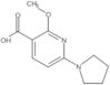 2-Methoxy-6-(1-pyrrolidinyl)-3-pyridinecarboxylic acid