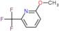 pyridine, 2-methoxy-6-(trifluoromethyl)-