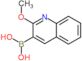 (2-methoxyquinolin-3-yl)boronic acid