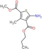 2-methyl 4-propyl 5-amino-3-methylthiophene-2,4-dicarboxylate