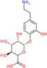 (3S,4S,5S,6S)-6-[4-(2-aminoethyl)-2-hydroxy-phenoxy]-3,4,5-trihydroxy-tetrahydropyran-2-carboxylic acid
