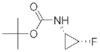 Carbamic acid, (2-fluorocyclopropyl)-, 1,1-dimethylethyl ester, (1S-cis)- (9CI)