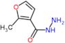 2-methylfuran-3-carbohydrazide