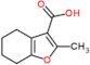 2-methyl-4,5,6,7-tetrahydro-1-benzofuran-3-carboxylic acid