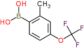 [2-methyl-4-(trifluoromethoxy)phenyl]boronic acid