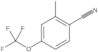 2-Methyl-4-(trifluoromethoxy)benzonitrile