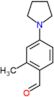 2-methyl-4-(pyrrolidin-1-yl)benzaldehyde