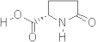 L-Pyroglutamic acid