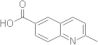 2-Methyl-6-quinolinecarboxylic acid
