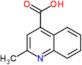 2-methylquinoline-4-carboxylic acid