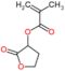 alpha-Methacryloxy-gama-butyrolactone