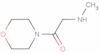 2-(Methylamino)-1-(4-morpholinyl)ethanone