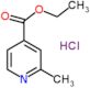 ethyl 2-methylpyridine-4-carboxylate hydrochloride