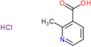 2-Methylpyridin-3-carbonsäurehydrochlorid