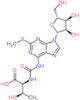 2-Methylthio-N6-threonylcarbamoyladenosine