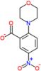 2-morpholin-4-yl-5-nitrobenzoic acid