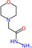 2-(morpholin-4-yl)acetohydrazide