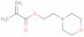 2-Morpholinoethyl methacrylate