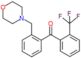 [2-(morpholinomethyl)phenyl]-[2-(trifluoromethyl)phenyl]methanone
