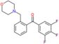 [2-(morpholinomethyl)phenyl]-(3,4,5-trifluorophenyl)methanone