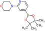 4-[4-(4,4,5,5-tetramethyl-1,3,2-dioxaborolan-2-yl)pyridin-2-yl]morpholine