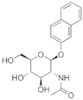 (2'-NAPHTHYL) 2-ACETAMIDO-2-DEOXY-BETA-D-GLUCOPYRANOSIDE