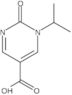 1,2-Dihydro-1-(1-methylethyl)-2-oxo-5-pyrimidinecarboxylic acid