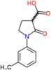 1-(3-methylphenyl)-2-oxopyrrolidine-3-carboxylic acid