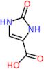 2-oxo-2,3-dihydro-1H-imidazole-4-carboxylic acid