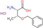 (2S,3R)-2-amino-3-benzyloxy-butanoic acid hydrochloride